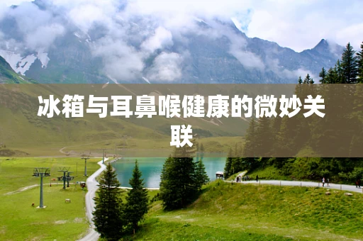 冰箱与耳鼻喉健康的微妙关联