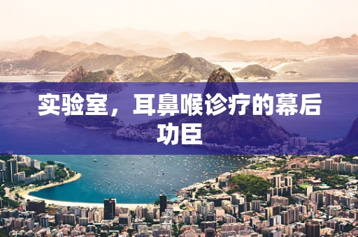 实验室，耳鼻喉诊疗的幕后功臣