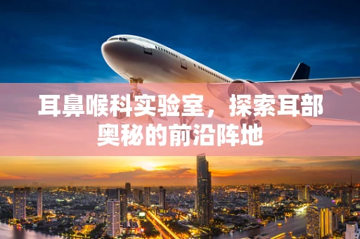 耳鼻喉科实验室，探索耳部奥秘的前沿阵地