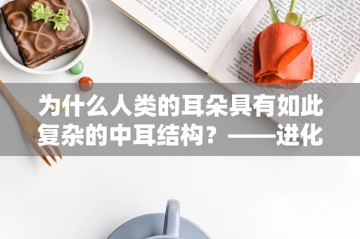 为什么人类的耳朵具有如此复杂的中耳结构？——进化生物学视角的解析