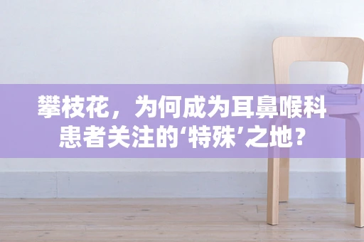 攀枝花，为何成为耳鼻喉科患者关注的‘特殊’之地？