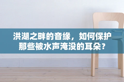 洪湖之畔的音缘，如何保护那些被水声淹没的耳朵？