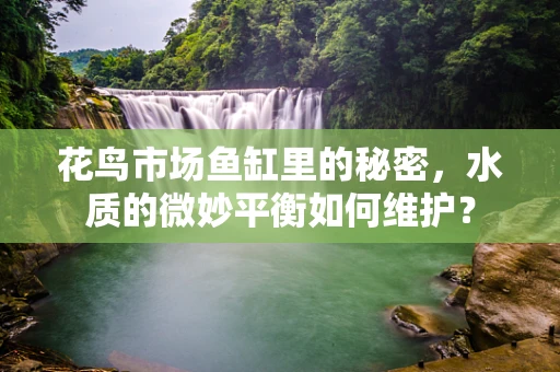 花鸟市场鱼缸里的秘密，水质的微妙平衡如何维护？