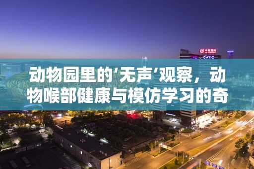 动物园里的‘无声’观察，动物喉部健康与模仿学习的奇妙联系