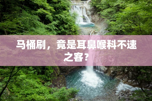 马桶刷，竟是耳鼻喉科不速之客？