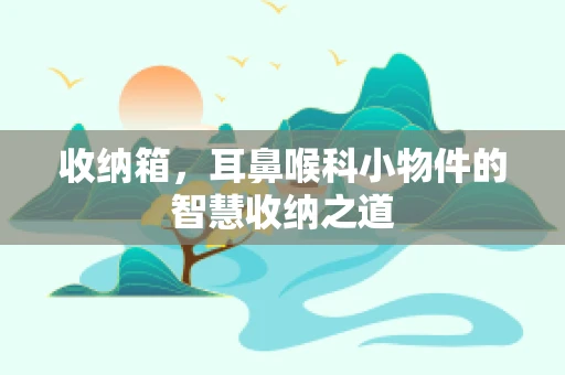 收纳箱，耳鼻喉科小物件的智慧收纳之道