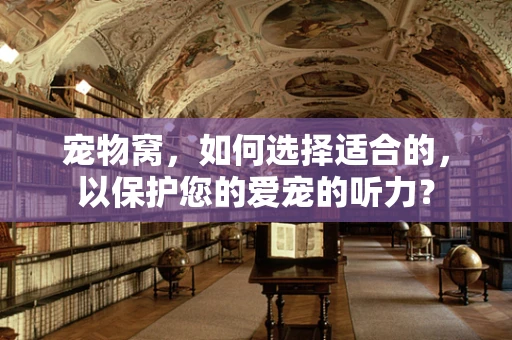 宠物窝，如何选择适合的，以保护您的爱宠的听力？