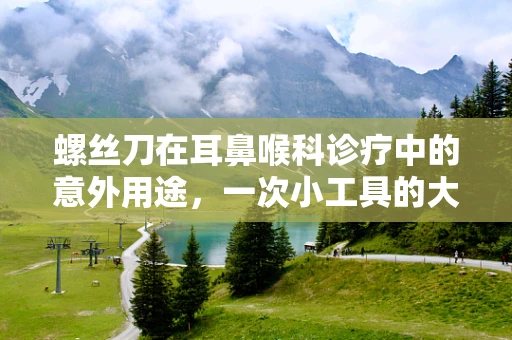 螺丝刀在耳鼻喉科诊疗中的意外用途，一次小工具的大救援
