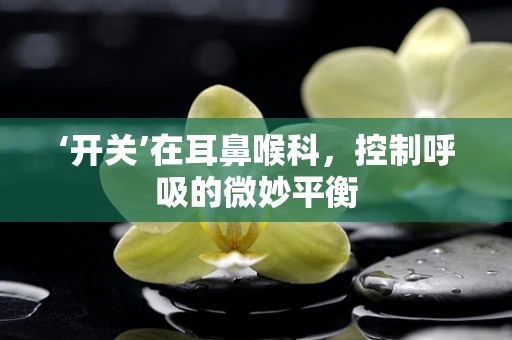 ‘开关’在耳鼻喉科，控制呼吸的微妙平衡