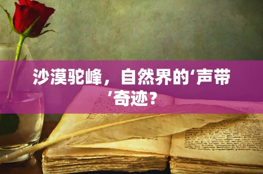 沙漠驼峰，自然界的‘声带’奇迹？