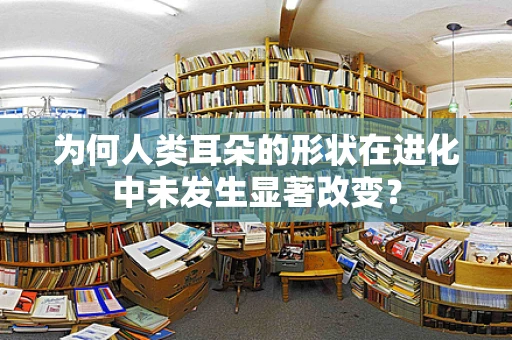 为何人类耳朵的形状在进化中未发生显著改变？