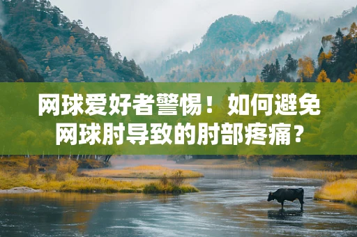 网球爱好者警惕！如何避免网球肘导致的肘部疼痛？