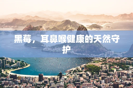 黑莓，耳鼻喉健康的天然守护
