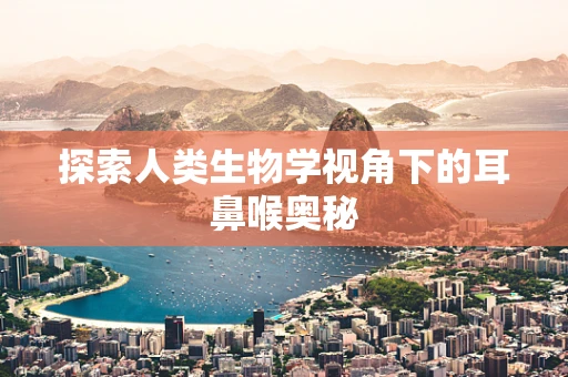 探索人类生物学视角下的耳鼻喉奥秘