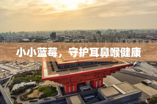 小小蓝莓，守护耳鼻喉健康