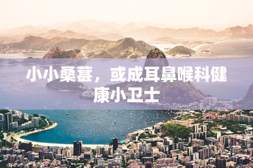 小小桑葚，或成耳鼻喉科健康小卫士