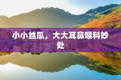 小小丝瓜，大大耳鼻喉科妙处