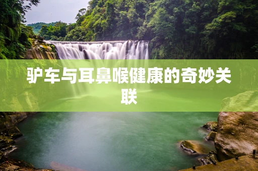驴车与耳鼻喉健康的奇妙关联