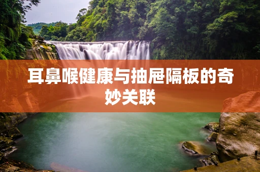 耳鼻喉健康与抽屉隔板的奇妙关联