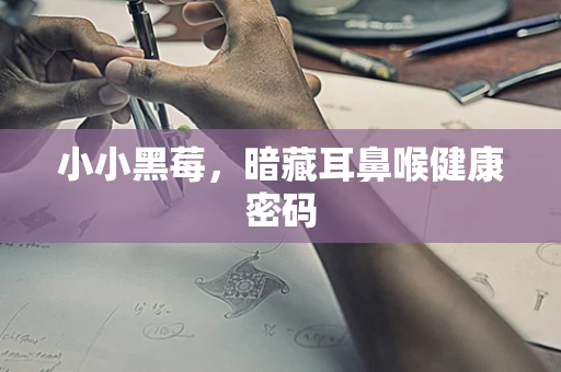 小小黑莓，暗藏耳鼻喉健康密码