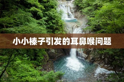 小小榛子引发的耳鼻喉问题