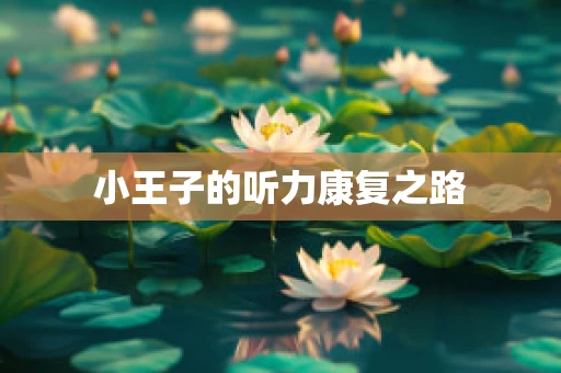 小王子的听力康复之路